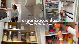 Organização das Compras do Mês  🛒 | Como organizar o freezer! 🥩 |  Como utilizar os organizadores 🥚