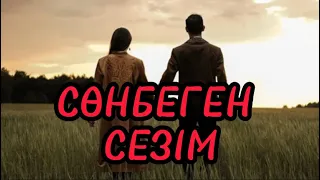 СӨНБЕГЕН СЕЗІМ (аудиокітап)