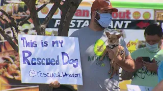 Protesters speak out against puppy sales at local pet store