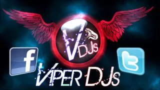 Bhangra Mix Part 4 | Viper DJs