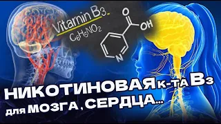 НИКОТИНОВАЯ КИСЛОТА - В3 - витамин с Важными функциями, важен и для Мозга и для Сердца...