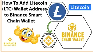How To Add Litecoin LTC Wallet Address to Binance Smart Chain Wallet | Litecoin (LTC)