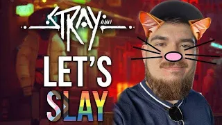 This Cat Game Is PAWSitively Adorable | STRAY Let's Slay
