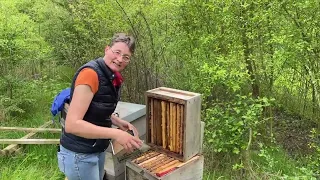 Live von Pias Bienenstand - 01.05.2023