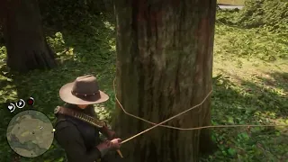 Rope physics - Red Dead Redemption 2