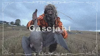 Goosehunting in Norway