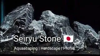 Seiryu Stone