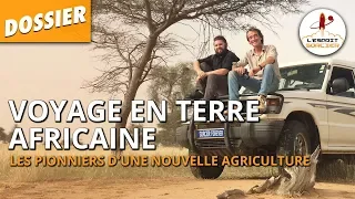 L'AGRICULTURE EN AFRIQUE - Dossier #21 - L'Esprit Sorcier