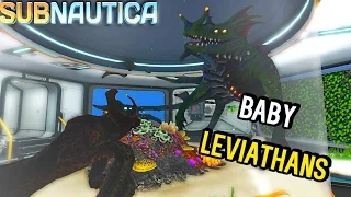Subnautica - CAGED BABY LEVIATHANS, NEW SEA EMPEROR ANIMATIONS & SEA DRAGON BIG AS MAP? ( Gameplay )