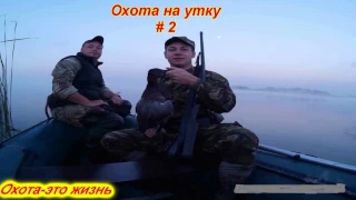 Выпуск № 2/Охота на утку