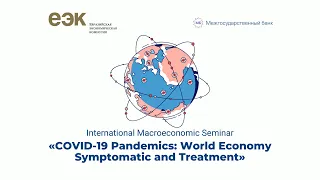 COVID-19 Pandemics: World Economy Symptomatic and Treatment | International Macroeconomic Seminar