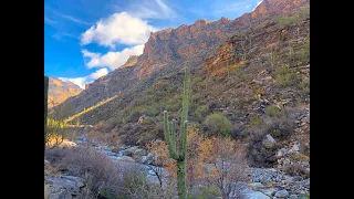 The Sky Islands of Southern Arizona