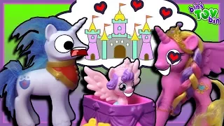 PRINCESS CADANCE & FLURRY HEART FIND A NEW HOUSE!