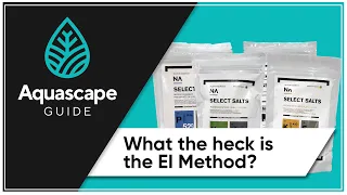 Aquascape Guide - What is the EI (Estimative Index) Method?