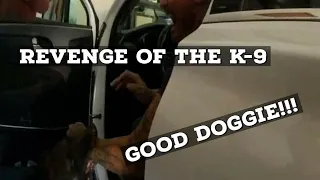 K9 Police Dog Gets Revenge on Suspect!!!!