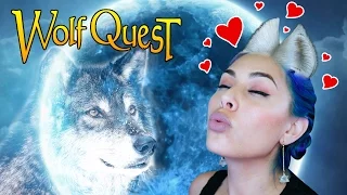 FINDING MY MAN-WOLF - Wolf Quest