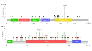 Next-Generation Sequencing of FFPE Tumor Specimens | Illumina Video