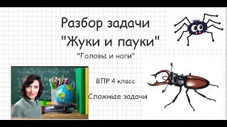 Задача о жуках и пауках