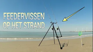 #201 - SEALIFE 1 - FEEDER VISSEN op het STRAND en IK VANG ZEEBAARSEN!