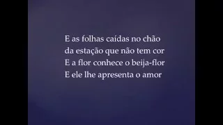 A Flor e o Beija Flor - Henrique e Juliano part. Marília Mendonça. (Música e letra).