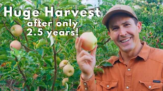 First Ever Home Orchard Tour!