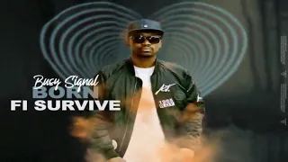 on the lines riddim born Fi survive by busy signal official video