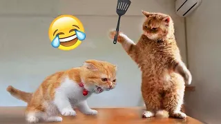 Essayer De Ne Pas Rire 🤣 Meilleurs Chats et Chiens Drôles 😹🐶 Partie 18 | Animaux Drôles