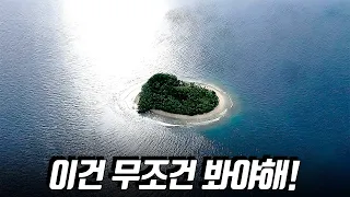 신선도지수 99%!!!!!!!! 넷플릭스에서 안 보면 나만 손해인 띵작 중의 띵작! | 결말포함