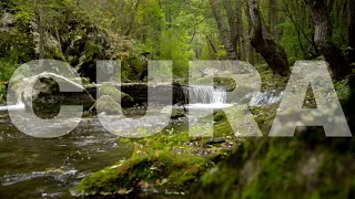 Inexplicável o Poder de Cura desta Musica | Relaxar a Mente | Sons da Natureza Para Dormir #1