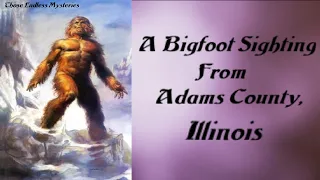 A Bigfoot Sighting From Adams County, Illinois