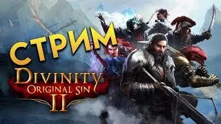 Хорошая РПГ Divinity: Original Sin 2 стрим №4