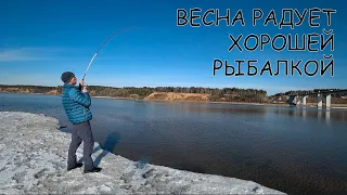 Весенняя раздача рыбы / Рыбалка в Новосибирске!
