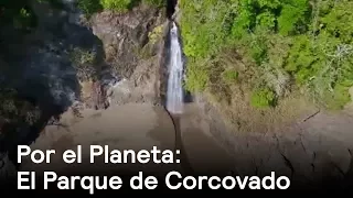 Por el Planeta: Parque de Corcovado, corazón de la biodiversidad en Costa Rica - Despierta con Loret