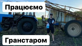 Даємо «Гранстар» на соняшник🌻🌻Берізки🌱море…