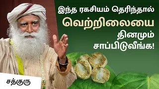 இந்த ரகசியம் தெரிந்தால் வெற்றிலையை தினமும் சாப்பிடுவீங்க! | Incredible Benefits of Betel Leaf & Nut