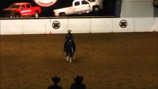 Shawn Flarida NRHA Open Futurity Finals- Quarter Horse Congress 2013