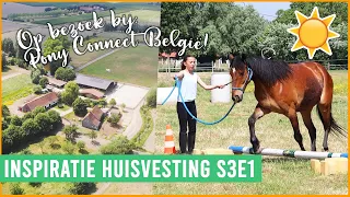 Manege van de toekomst?! Lespaarden in unieke leefomgeving! | felinehoi INSPIRATIE HUISVESTING S3E1