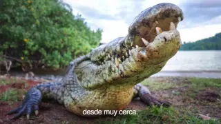 Coiba National Park Video