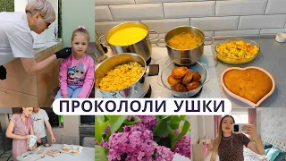 НАГОТОВИЛА КАК НА РОТУ СОЛДАТ 🤦‍♀️ Прокололи ушки 💉 Как всё прошло ⁉️ Растущий стул "Павлин"