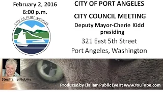 2016 02 02 Port Angeles City Council Meeting Deputy Mayor Cherie Kidd Presiding