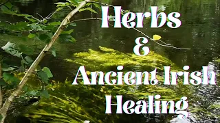 Herbs and Ancient Irish Healing