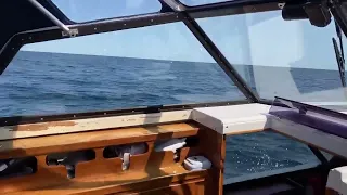 Nidelv 26 | Motor boat for sale | Denmark | Scanboat