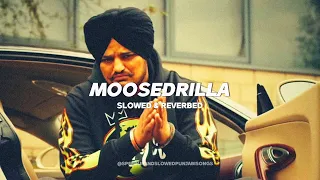 Moosedrilla - Sidhu Moosewala (slowed & reverbed)