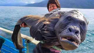 Fishermen Captured Something That Shocked The Whole World