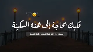 Quran with a very beautiful voice that touches the heart Quiet recitation | psychological comfort |