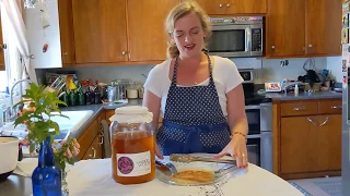 Kombucha Home-Brew DIY -- Split your Scoby