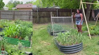Garden Update - New Trellis, Planting Sweet Potatoes, and Garden Tour