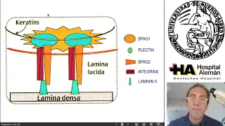 Patología II - Piel - Dermatitis vésicoampollares