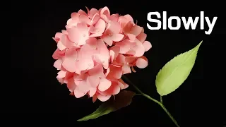 ABC TV | How To Make Hydrangea Paper Flower From Shape Punch (Slowly)- Craft Tutorial