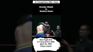 Branko Cikatic vs Ernesto Hoost | K1 Grand Prix 1993